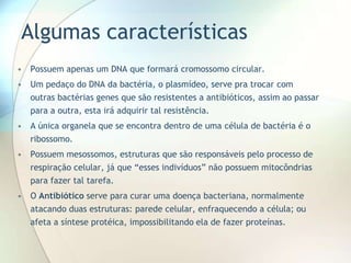Algumas características
• Possuem apenas um DNA que formará cromossomo circular.
• Um pedaço do DNA da bactéria, o plasmídeo, serve pra trocar com
outras bactérias genes que são resistentes a antibióticos, assim ao passar
para a outra, esta irá adquirir tal resistência.
• A única organela que se encontra dentro de uma célula de bactéria é o
ribossomo.
• Possuem mesossomos, estruturas que são responsáveis pelo processo de
respiração celular, já que “esses indivíduos” não possuem mitocôndrias
para fazer tal tarefa.
• O Antibiótico serve para curar uma doença bacteriana, normalmente
atacando duas estruturas: parede celular, enfraquecendo a célula; ou
afeta a síntese protéica, impossibilitando ela de fazer proteínas.
 