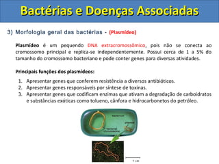 BBaaccttéérriiaass ee DDooeennççaass AAssssoocciiaaddaass 
3) Morfologia geral das bactérias - (Plasmídeo) 
Plasmídeo é um pequendo DNA extracromossômico, pois não se conecta ao 
cromossomo principal e replica-se independentemente. Possui cerca de 1 a 5% do 
tamanho do cromossomo bacteriano e pode conter genes para diversas atividades. 
Principais funções dos plasmídeos: 
1. Apresentar genes que conferem resistência a diversos antibióticos. 
2. Apresentar genes responsáveis por síntese de toxinas. 
3. Apresentar genes que codificam enzimas que ativam a degradação de carboidratos 
e substâncias exóticas como tolueno, cânfora e hidrocarbonetos do petróleo. 
 