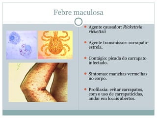 Febre maculosa
 Agente causador: Rickettsia
rickettsii
 Agente transmissor: carrapato-
estrela.
 Contágio: picada do carrapato
infectado.
 Sintomas: manchas vermelhas
no corpo.
 Profilaxia: evitar carrapatos,
com o uso de carrapaticidas,
andar em locais abertos.
 