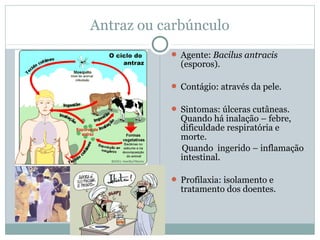Antraz ou carbúnculo
 Agente: Bacilus antracis
(esporos).
 Contágio: através da pele.
 Sintomas: úlceras cutâneas.
Quando há inalação – febre,
dificuldade respiratória e
morte.
Quando ingerido – inflamação
intestinal.
 Profilaxia: isolamento e
tratamento dos doentes.
 
