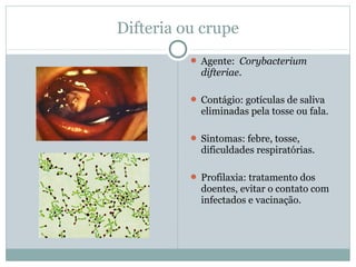Difteria ou crupe
 Agente: Corybacterium
difteriae.
 Contágio: gotículas de saliva
eliminadas pela tosse ou fala.
 Sintomas: febre, tosse,
dificuldades respiratórias.
 Profilaxia: tratamento dos
doentes, evitar o contato com
infectados e vacinação.
 