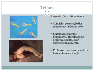 Tétano
 Agente: Clostridium tetani.
 Contágio: penetração dos
esporos em lesões na pele.
 Sintomas: espasmos
musculares, dificuldade de
deglutição, febre, suor
excessivo, taquicardia.
 Profilaxia: limpeza eficiente de
ferimentos e vacinação.
 