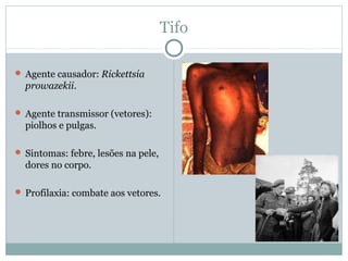 Tifo
 Agente causador: Rickettsia
prowazekii.
 Agente transmissor (vetores):
piolhos e pulgas.
 Sintomas: febre, lesões na pele,
dores no corpo.
 Profilaxia: combate aos vetores.
 