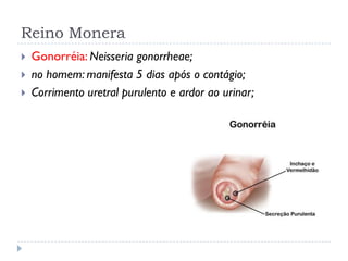 Reino Monera
 Gonorréia: Neisseria gonorrheae;
 no homem: manifesta 5 dias após o contágio;
 Corrimento uretral purulento e ardor ao urinar;
 