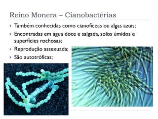 Reino Monera – Cianobactérias
 Também conhecidas como cianofíceas ou algas azuis;
 Encontradas em água doce e salgada, solos úmidos e
superfícies rochosas;
 Reprodução assexuada;
 São autotróficas;

 