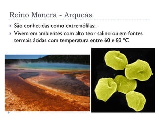 Reino Monera - Arqueas
 São conhecidas como extremófilas;
 Vivem em ambientes com alto teor salino ou em fontes
termais ácidas com temperatura entre 60 e 80 ºC
 