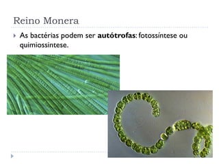 Reino Monera
 As bactérias podem ser autótrofas: fotossíntese ou
quimiossintese.
 