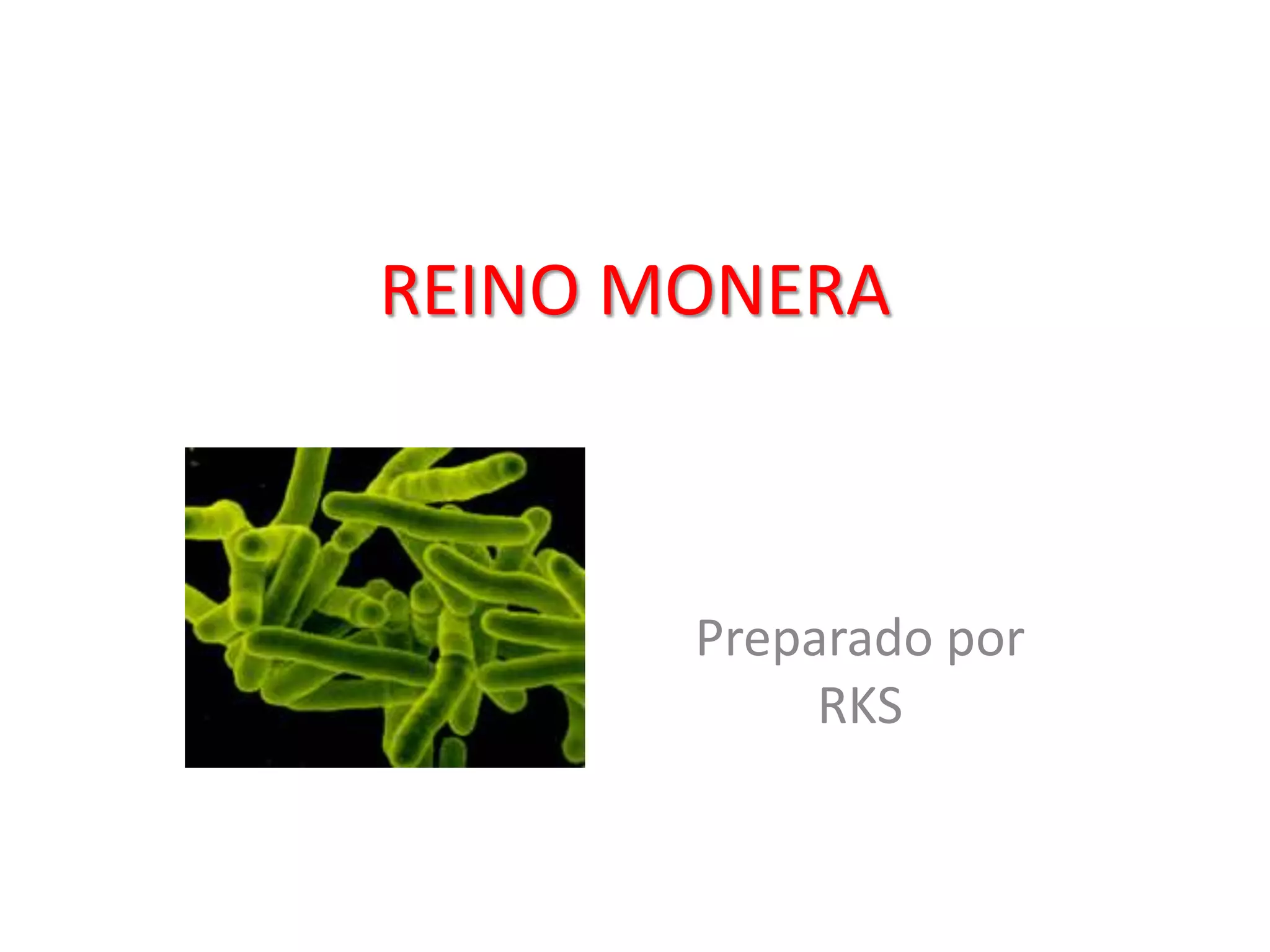 Reino monera | PPTX