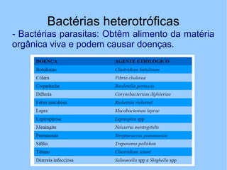Bactérias heterotróficas
- Bactérias parasitas: Obtêm alimento da matéria
orgânica viva e podem causar doenças.
 