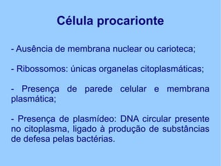 Célula procarionte
- Ausência de membrana nuclear ou carioteca;
- Ribossomos: únicas organelas citoplasmáticas;
- Presença de parede celular e membrana
plasmática;
- Presença de plasmídeo: DNA circular presente
no citoplasma, ligado à produção de substâncias
de defesa pelas bactérias.
 