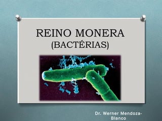 REINO MONERAREINO MONERA
(BACTÉRIAS)(BACTÉRIAS)
Dr. Werner Mendoza-
Blanco
 