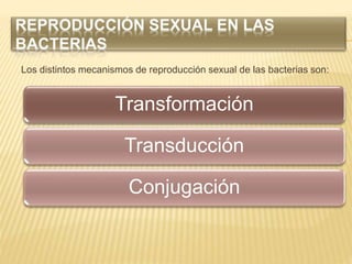 Los distintos mecanismos de reproducción sexual de las bacterias son:
Transformación
Transducción
Conjugación
 