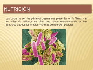Las bacterias son los primeros organismos presentes en la Tierra y en
los miles de millones de años que llevan evolucionan...