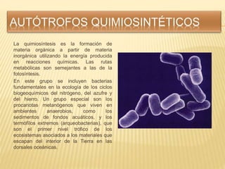 La quimiosíntesis es la formación de
materia orgánica a partir de materia
inorgánica utilizando la energía producida
en re...