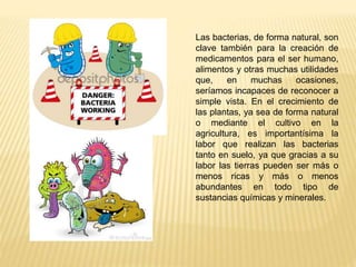 Las bacterias, de forma natural, son
clave también para la creación de
medicamentos para el ser humano,
alimentos y otras ...