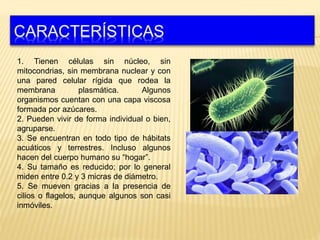 1. Tienen células sin núcleo, sin
mitocondrias, sin membrana nuclear y con
una pared celular rígida que rodea la
membrana ...