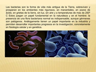 Las bacterias son la forma de vida más antigua de la Tierra, sobreviven y
prosperan en los ambientes más rigurosos, en man...