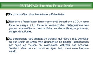 NUTRIÇÃO: Bactérias Fotoautótrofas
Ex: proclorófitas, cianobactérias e sulfobactérias.
Realizam a fotossíntese, tendo como fonte de carbono o CO2
e como
fonte de energia a luz. Entre as fotoautotrófas distinguem-se dois
grupos: proclorófitas + cianobactérias e sulfobactérias; as primeiras,
antigas cianofíceas.
As proclorófitas são dotadas de clorofila dos tipos a e b. Acredita-
se que sejam os seres mais abundantes no planeta, responsáveis
por cerca de metade da fotossíntese realizada nos oceanos.
Também, além do mar, vivem na água doce e em meio terrestre
úmido.
 