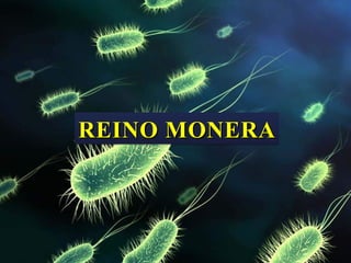REINO MONERAREINO MONERAREINO MONERAREINO MONERA
 
