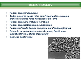 REINO MONERA
 Possui seres Unicelulares
 Todos os seres desse reino são Procariontes, e o reino
Monera é o único reino Procarionte da Terra
 Possui seres Anaeróbios e Aeróbios
 Possui seres Heterótrofos e Autótrofos
 Possuem Parede Celular composta por Peptídeoglicanos
 Exemplo de seres desse reino: Arqueas, Bactérias e
Cianobactérias (antigas algas azuis)
 Doenças Bacterianas
 