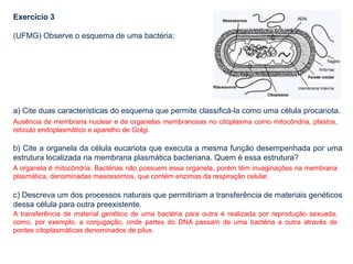 Exercício 3
(UFMG) Observe o esquema de uma bactéria:
a) Cite duas características do esquema que permite classificá-la como uma célula procariota.
b) Cite a organela da célula eucariota que executa a mesma função desempenhada por uma
estrutura localizada na membrana plasmática bacteriana. Quem é essa estrutura?
c) Descreva um dos processos naturais que permitiriam a transferência de materiais genéticos
dessa célula para outra preexistente.
Ausência de membrana nuclear e de organelas membranosas no citoplasma como mitocôndria, plastos,
retículo endoplasmático e aparelho de Golgi.
A organela é mitocôndria. Bactérias não possuem essa organela, porém têm invaginações na membrana
plasmática, denominadas mesossomos, que contém enzimas da respiração celular.
A transferência de material genético de uma bactéria para outra é realizada por reprodução sexuada,
como, por exemplo, a conjugação, onde partes do DNA passam de uma bactéria a outra através de
pontes citoplasmáticas denominados de pilus.
 