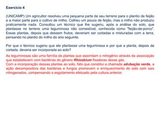 Exercício 4
(UNICAMP) Um agricultor resolveu uma pequena parte de seu terreno para o plantio de feijão
e a maior parte para o cultivo de milho. Colheu um pouco de feijão, mas o milho não produziu
praticamente nada. Consultou um técnico que lhe sugeriu, após a análise do solo, que
plantasse no terreno uma leguminosa não comestível, conhecida como "feijão-de-porco".
Essas plantas, depois que dessem frutos, deveriam ser cortadas e misturadas com a terra,
pensando no plantio do milho do ano seguinte.
Por que o técnico sugeriu que ele plantasse uma leguminosa e por que a planta, depois de
cortada, deveria ser incorporada ao solo?
As leguminosas são uma família de plantas que assimilam o nitrogênio através da associação
que estabelecem com bactérias do gênero Rhizobium fixadoras desse gás.
Com a incorporação dessas plantas ao solo, fato que constitui a chamada adubação verde, a
ação decompositora das bactérias e fungos promovem o enriquecimento do solo com sais
nitrogenados, compensando o esgotamento efetuado pela cultura anterior.
 