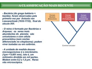 A CLASSIFICAÇÃO MAIS RECENTE
- Bactéria (do grego bakteria =
bastão), foram observadas pela
primeira vez por Antonie van
Leeuwenhoek (1632-1723), final do
século XVI.
- O reino é formado por Bactérias e
Arqueas; os seres mais
abundantes do planeta; são
unicelulares e com célula
procariótica (sem núcleo
diferenciado no citoplasma); podem
viver isoladas ou em colônias.
- A unidade de medida desses
microrganismos é o micrômetro.
(1µm = 0,001 mm), isto é, um
milímetro dividido em mil partes.
Medem entre 0,2 a 1,5 µm. Raras
não microscópica.
 