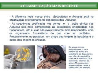 A CLASSIFICAÇÃO MAIS RECENTE
- A diferença mais marca entre Eubactérias e Arqueas está na
organização e funcionamento dos genes das Arqueas.
- As sequências codificadas nos genes e a ação gênica das
Arqueas são mais semelhantes às sequências encontradas nos
Eucarióticos, isto é, elas são evolutivamente mais relacionadas com
os organismos Eucarióticos do que com as bactérias.
Provavelmente, no passado, um grupo deu origem às bactérias e o
outro, deu origem às Arqueas.
De acordo com os
pesquisadores, o perfil
proteico da múmia era
semelhante ao de pacientes
com infecção respiratória
crônica e a análise do DNA
apresentou bactérias do
gênero Mycobacterium,
responsável por causar a
tuberculose, por exemplo.
 