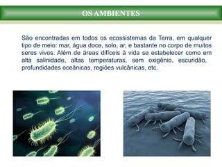 OS AMBIENTES
São encontradas em todos os ecossistemas da Terra, em qualquer
tipo de meio: mar, água doce, solo, ar, e bastante no corpo de muitos
seres vivos. Além de áreas difíceis à vida se estabelecer como em
alta salinidade, altas temperaturas, sem oxigênio, escuridão,
profundidades oceânicas, regiões vulcânicas, etc.
 