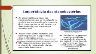 O nitrogênio é um componente de todos os aminoácidos do nosso corpo,
além das bases nitrogenadas (que constituem as moléculas de DNA e RNA).
 