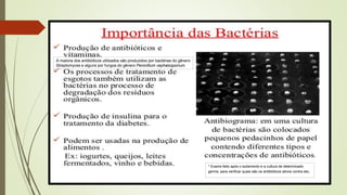 * Exame feito após o isolamento e a cultura de determinado
germe, para verificar quais são os antibióticos ativos contra ele.
A maioria dos antibióticos utilizados são produzidos por bactérias do gênero
Streptomyces e alguns por fungos do gênero Penicillium cephalosporium.
 