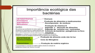 Saprofitismo
São animais que se alimentam de restos orgânicos,
reciclando-os e retornando-os à cadeia alimentar para
serem reaproveitados pelos demais organismos vivos.
Mutualismo ou simbiose é uma interação ecológica interespecífica harmônica
obrigatória na qual há vantagens recíprocas para as espécies que se relacionam.
A quimiossíntese é a produção de matéria orgânica através da oxidação de
substâncias minerais, sem recorrer à luz solar.
 