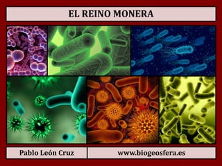 Pablo León Cruz www.biogeosfera.es
EL REINO MONERA
 