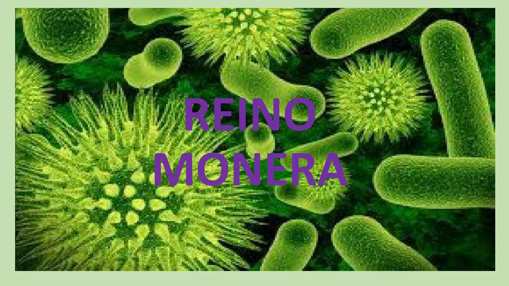Reino monera | PPTX