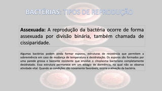 Assexuada: A reprodução da bactéria ocorre de forma
assexuada por divisão binária, também chamada de
cissiparidade.
Algumas bactérias podem ainda formar esporos, estruturas de resistência que permitem a
sobrevivência em caso de mudança de temperatura e desidratação. Os esporos são formados por
uma parede grossa e bastante resistente que envolve o citoplasma bacteriano completamente
desidratado. Essa estrutura permanece em um estágio de dormência, na qual não se observa
atividade vital. Quando as condições são novamente favoráveis, ocorre a ativação da bactéria.
 