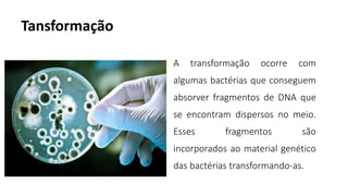 Tansformação
A transformação ocorre com
algumas bactérias que conseguem
absorver fragmentos de DNA que
se encontram dispersos no meio.
Esses fragmentos são
incorporados ao material genético
das bactérias transformando-as.
 