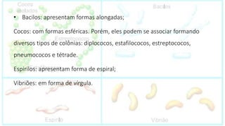 • Bacilos: apresentam formas alongadas;
Cocos: com formas esféricas. Porém, eles podem se associar formando
diversos tipos de colônias: diplococos, estafilococos, estreptococos,
pneumococos e tétrade.
Espirilos: apresentam forma de espiral;
Vibriões: em forma de vírgula.
 