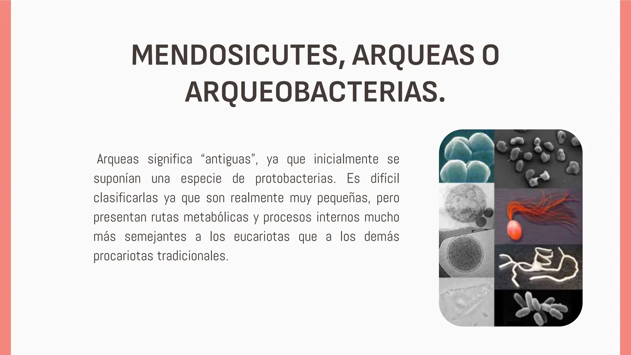 reino monera caracteristicas yy que es .pptx