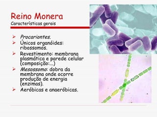 Reino Monera Características gerais Procariontes . Únicos organóides: ribossomos. Revestimento: membrana plasmática e parede celular (composição:...) Mesossomo : dobra da membrana onde ocorre produção de energia (enzimas). Aeróbicas e anaeróbicas. 