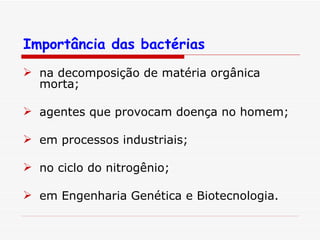 Importância das bactérias na decomposição de matéria orgânica morta; agentes que provocam doença no homem; em processos industriais; no ciclo do nitrogênio; em Engenharia Genética e Biotecnologia. 