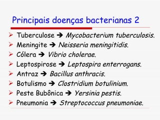 Tuberculose     Mycobacterium tuberculosis . Meningite     Neisseria meningitidis . Cólera     Vibrio cholerae . Leptospirose     Leptospira enterrogans . Antraz     Bacillus anthracis . Botulismo     Clostridium botulinium . Peste Bubônica     Yersinia pestis . Pneumonia     Streptococcus pneumoniae . Principais doenças bacterianas 2 