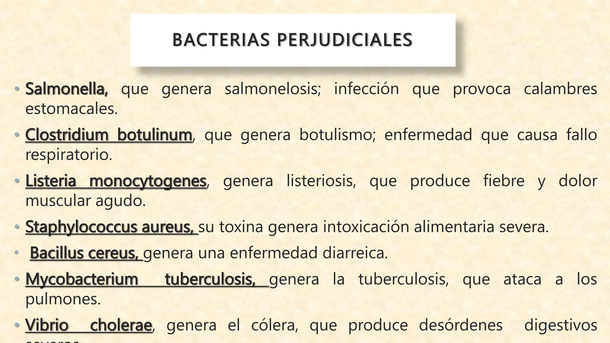 Reino monera- BACTERIAS Y CIANOBACTERIAS.pptx