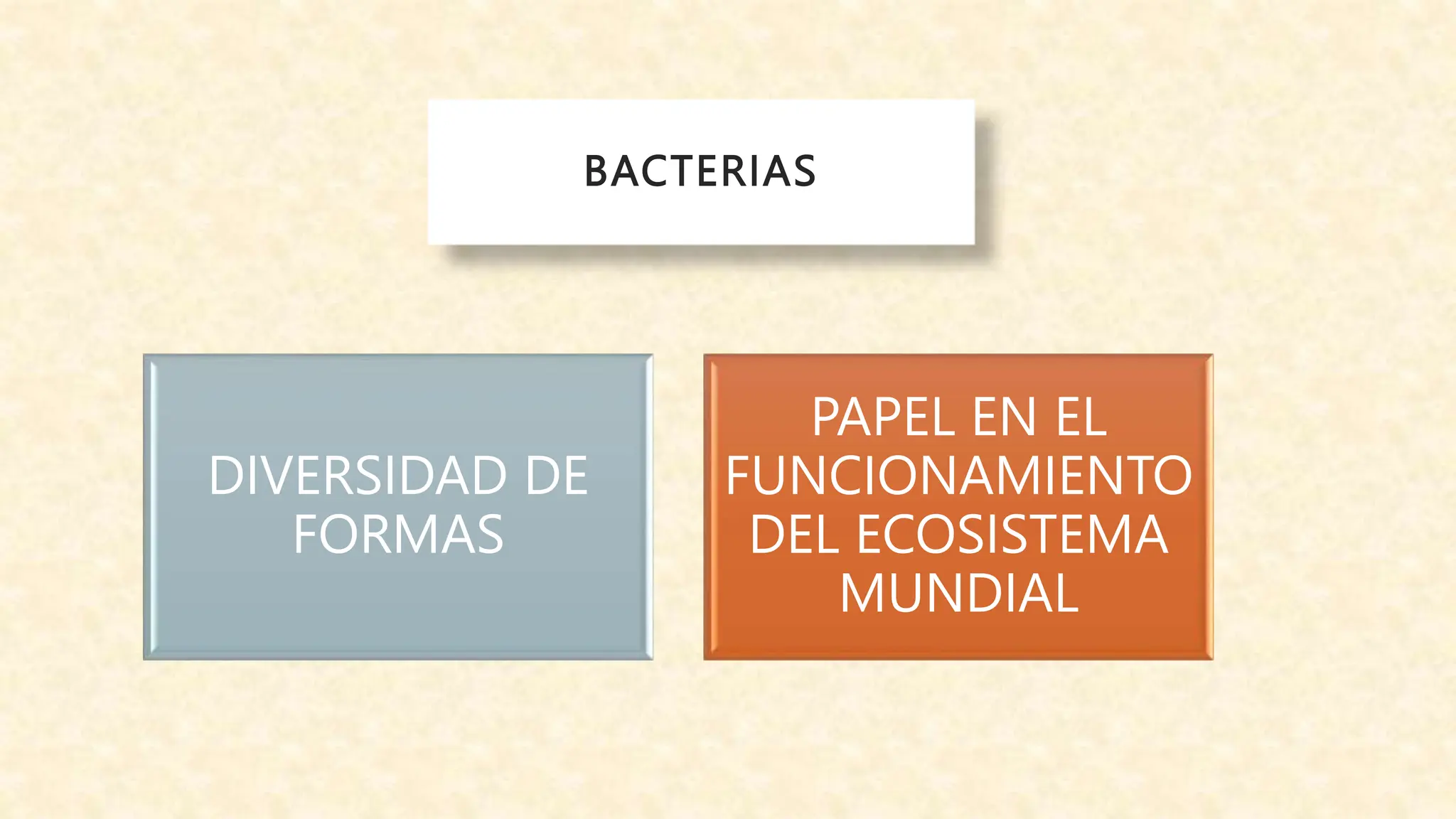 Reino monera- BACTERIAS Y CIANOBACTERIAS.pptx