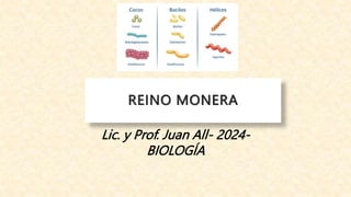 REINO MONERA
Lic. y Prof. Juan All- 2024-
BIOLOGÍA
 