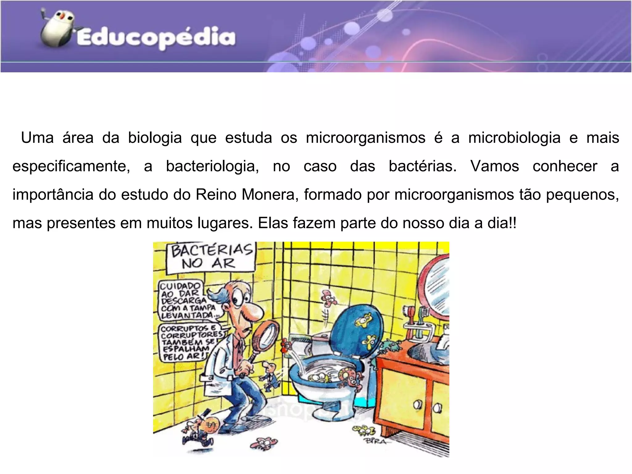 Reino monera educopédia | PPT