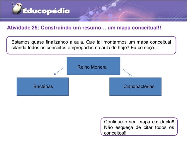 Reino monera educopédia Reino monera educopédia