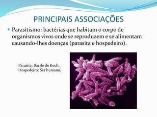 PRINCIPAIS ASSOCIAÇÕES
 Parasitismo: bactérias que habitam o corpo de
organismos vivos onde se reproduzem e se alimentam
causando-lhes doenças (parasita e hospedeiro).
Parasita: Bacilo de Koch.
Hospedeiro: Ser humano.
 