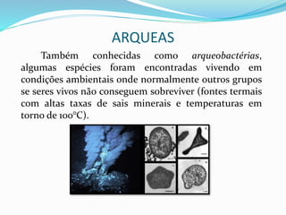 ARQUEAS
Também conhecidas como arqueobactérias,
algumas espécies foram encontradas vivendo em
condições ambientais onde normalmente outros grupos
se seres vivos não conseguem sobreviver (fontes termais
com altas taxas de sais minerais e temperaturas em
torno de 100°C).
 