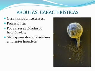 ARQUEAS: CARACTERÍSTICAS
 Organismos unicelulares;
 Procariontes;
 Podem ser autótrofas ou
heterótrofas;
 São capazes de sobreviver em
ambientes inóspitos.
 