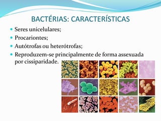 BACTÉRIAS: CARACTERÍSTICAS
 Seres unicelulares;
 Procariontes;
 Autótrofas ou heterótrofas;
 Reproduzem-se principalmente de forma assexuada
por cissiparidade.
 